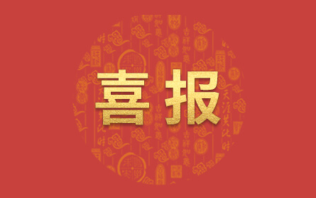 少妇真人直播免费视频