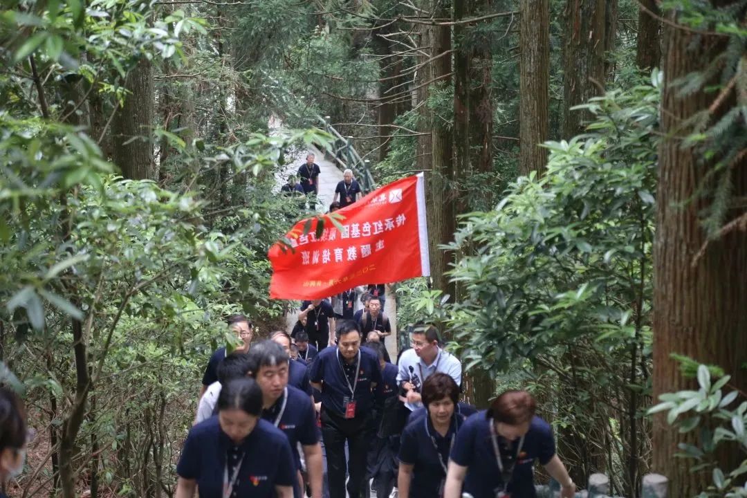 少妇真人直播免费视频